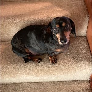 Meet your Posher, Mari anne